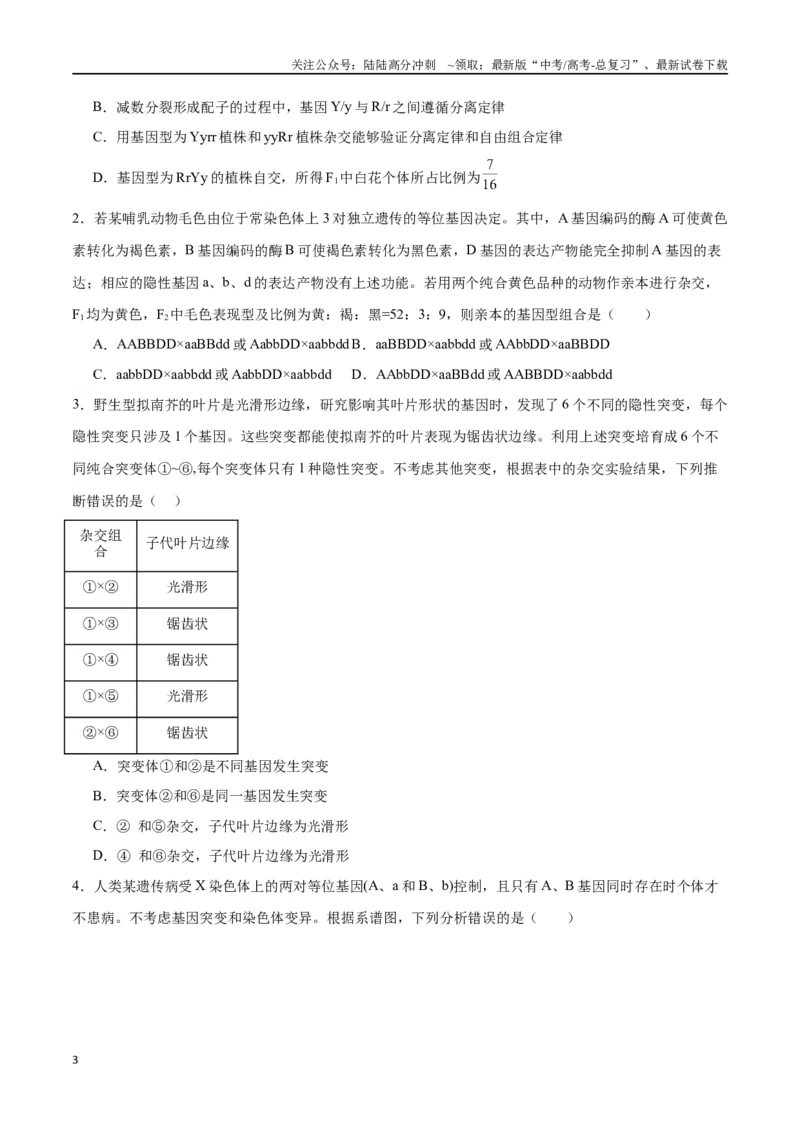 《专题17自由组合（原卷版)_06-生物-高考总复习_一轮复习_2024年_2024年高考生物一轮复习重难点专项突破_资料》第3页预览