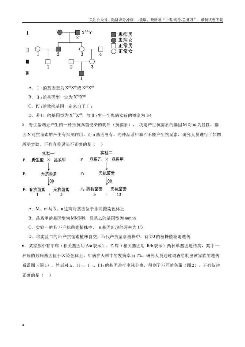 《专题17自由组合（原卷版)_06-生物-高考总复习_一轮复习_2024年_2024年高考生物一轮复习重难点专项突破_资料》第4页预览