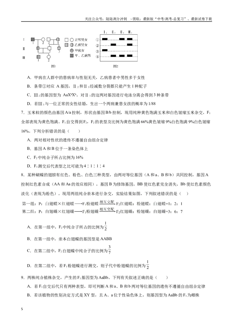 《专题17自由组合（原卷版)_06-生物-高考总复习_一轮复习_2024年_2024年高考生物一轮复习重难点专项突破_资料》第5页预览