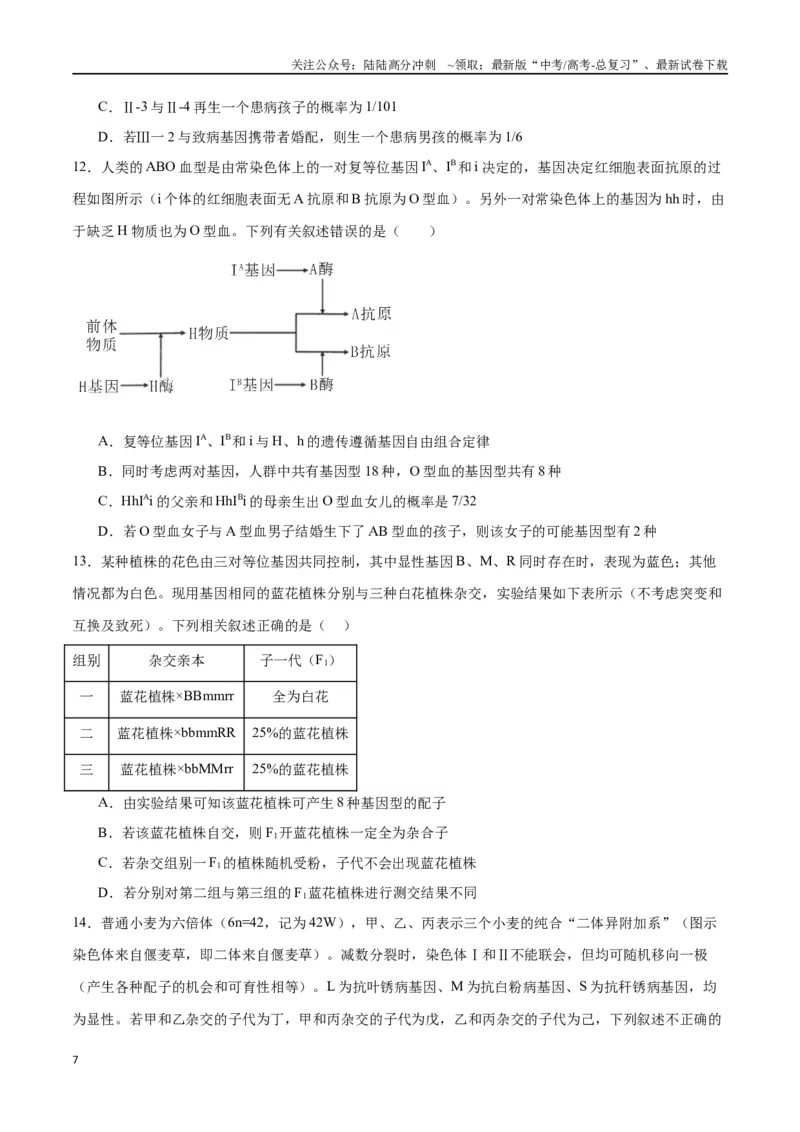 《专题17自由组合（原卷版)_06-生物-高考总复习_一轮复习_2024年_2024年高考生物一轮复习重难点专项突破_资料》第7页预览