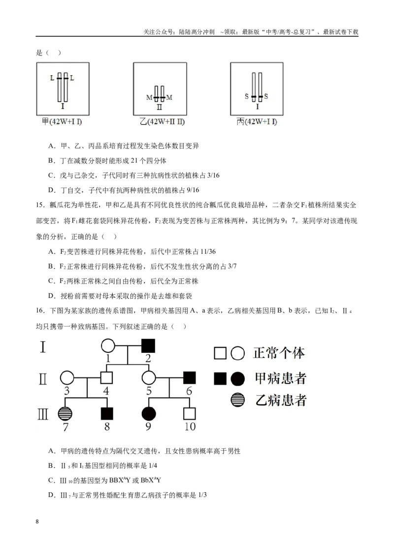 《专题17自由组合（原卷版)_06-生物-高考总复习_一轮复习_2024年_2024年高考生物一轮复习重难点专项突破_资料》第8页预览