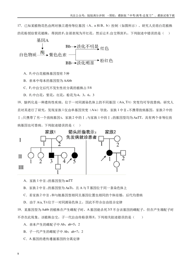 《专题17自由组合（原卷版)_06-生物-高考总复习_一轮复习_2024年_2024年高考生物一轮复习重难点专项突破_资料》第9页预览