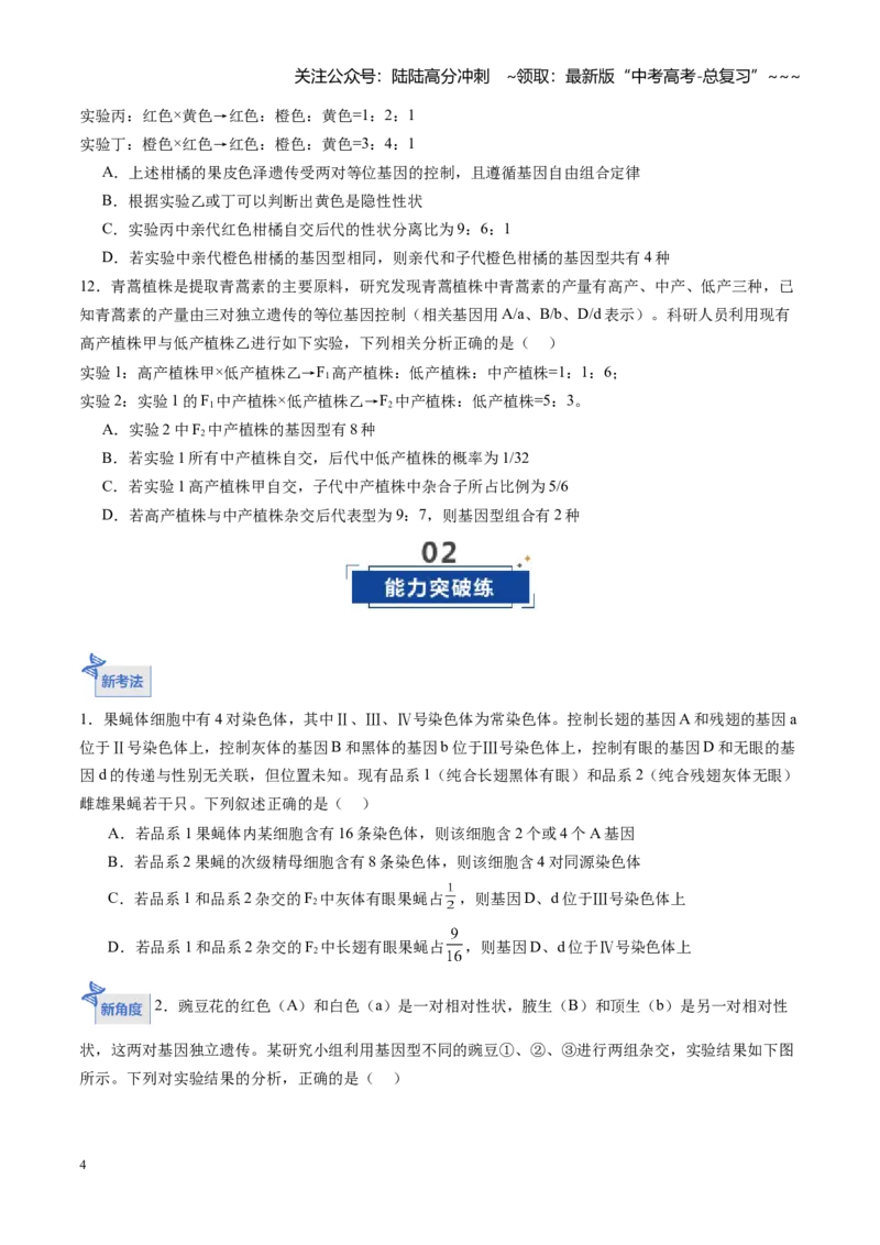 《第17讲自由组合定律第1课时（专项训练）（福建专用）（原卷版）_06-生物-高考总复习_一轮复习_2026年-生物高考一轮复习_2026年高考生物一轮课件+讲义+练习（福建专用）-G328》第4页预览