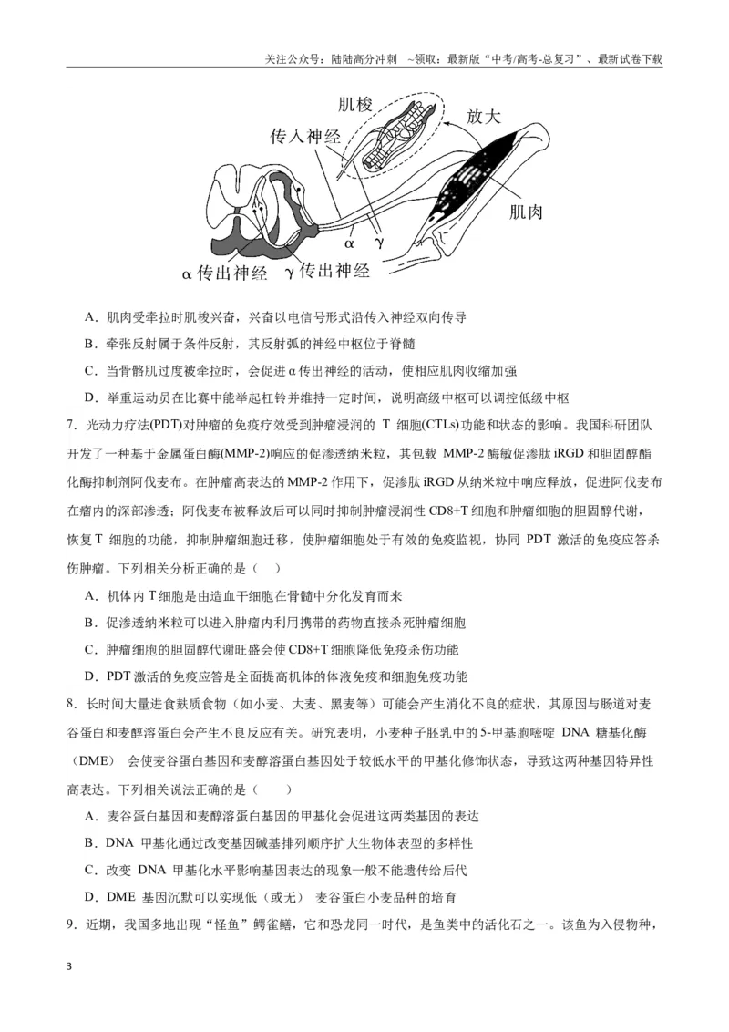 《生物（江西卷）（考试版）_06-生物-高考总复习_专项复习_2024年_2024高考生物1月九省联考猜想卷真题汇编完全解读_2024年1月“九省联考”生物考前猜想卷》第3页预览