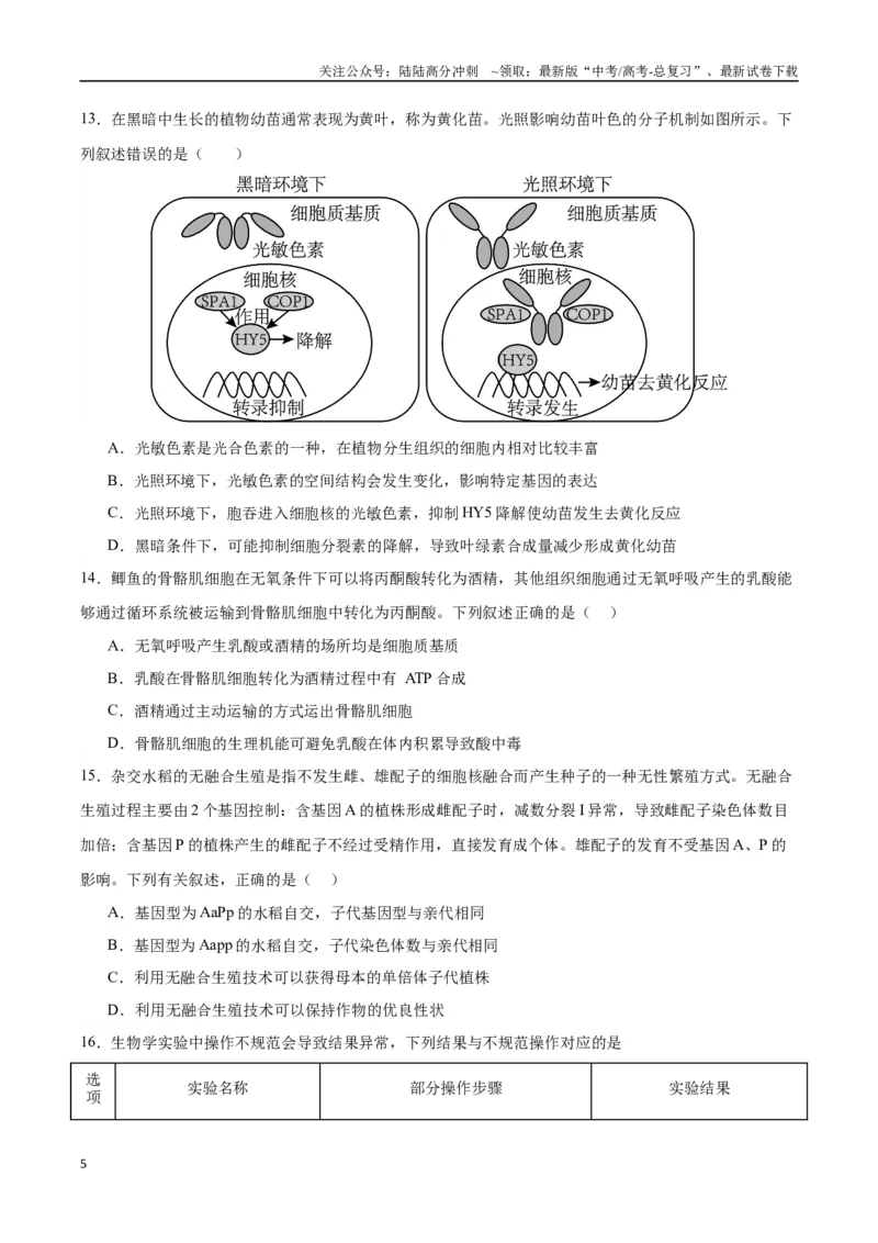 《生物（江西卷）（考试版）_06-生物-高考总复习_专项复习_2024年_2024高考生物1月九省联考猜想卷真题汇编完全解读_2024年1月“九省联考”生物考前猜想卷》第5页预览
