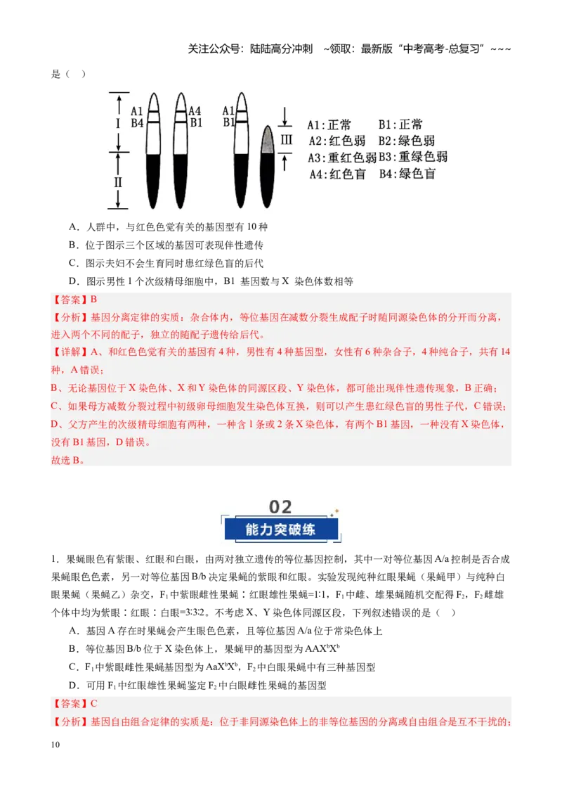 《第18讲伴性遗传和人类遗传病（专项训练）（安徽专用）（教师版）_06-生物-高考总复习_一轮复习_2026年-生物高考一轮复习_2026年高考生物一轮课件+讲义+练习（安徽专用）-G326》第10页预览