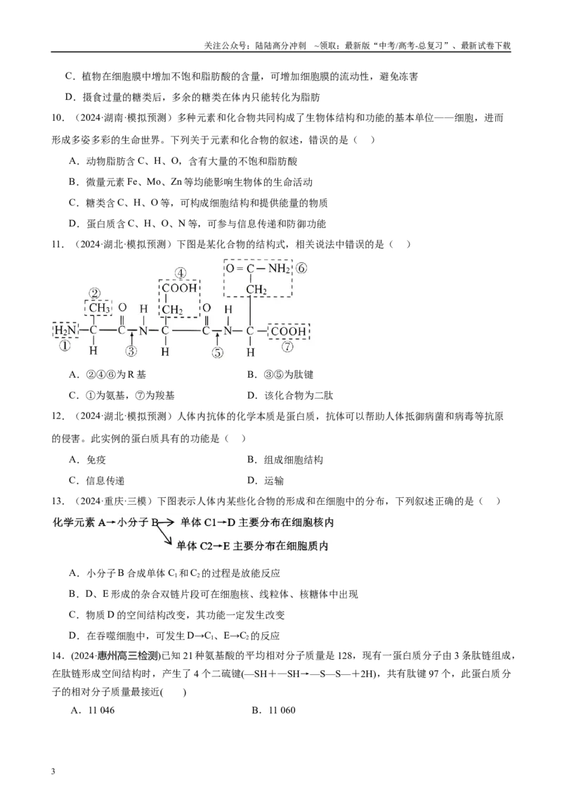《第1单元小测02细胞中的有机物（学生版）_06-生物-高考总复习_一轮复习_2025年_2025年高考生物一轮复习考点精讲精练（新高考通用）》第3页预览