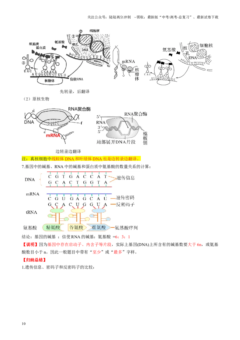 《第21讲基因的表达、基因与性状的关系（讲义）（学生版）_06-生物-高考总复习_一轮复习_2025年_2025年高考生物一轮复习讲义+练习+课件（新教材新高考）_第六单元遗传的分子基础》第10页预览