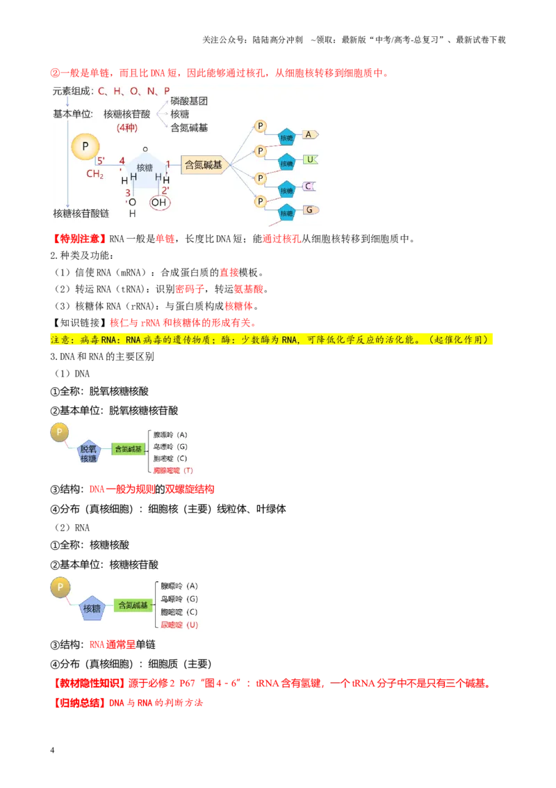 《第21讲基因的表达、基因与性状的关系（讲义）（学生版）_06-生物-高考总复习_一轮复习_2025年_2025年高考生物一轮复习讲义+练习+课件（新教材新高考）_第六单元遗传的分子基础》第4页预览