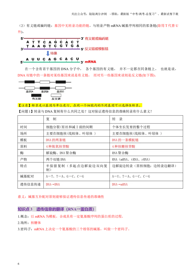 《第21讲基因的表达、基因与性状的关系（讲义）（学生版）_06-生物-高考总复习_一轮复习_2025年_2025年高考生物一轮复习讲义+练习+课件（新教材新高考）_第六单元遗传的分子基础》第6页预览