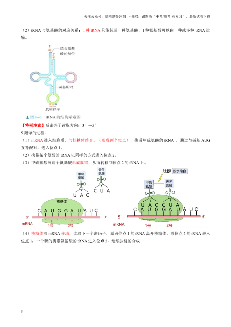 《第21讲基因的表达、基因与性状的关系（讲义）（学生版）_06-生物-高考总复习_一轮复习_2025年_2025年高考生物一轮复习讲义+练习+课件（新教材新高考）_第六单元遗传的分子基础》第8页预览