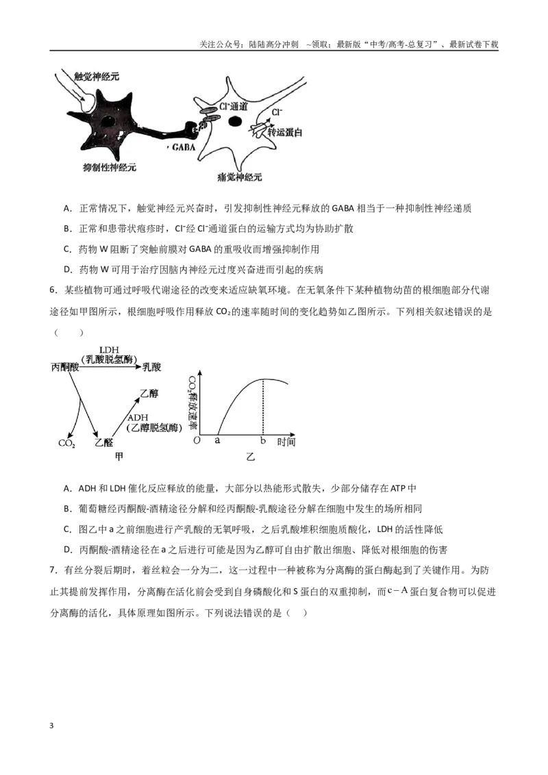 《生物（河北卷02）（考试版）_06-生物-高考总复习_专项复习_2025年_2025年高考押题预测卷（多地区）生物》第3页预览
