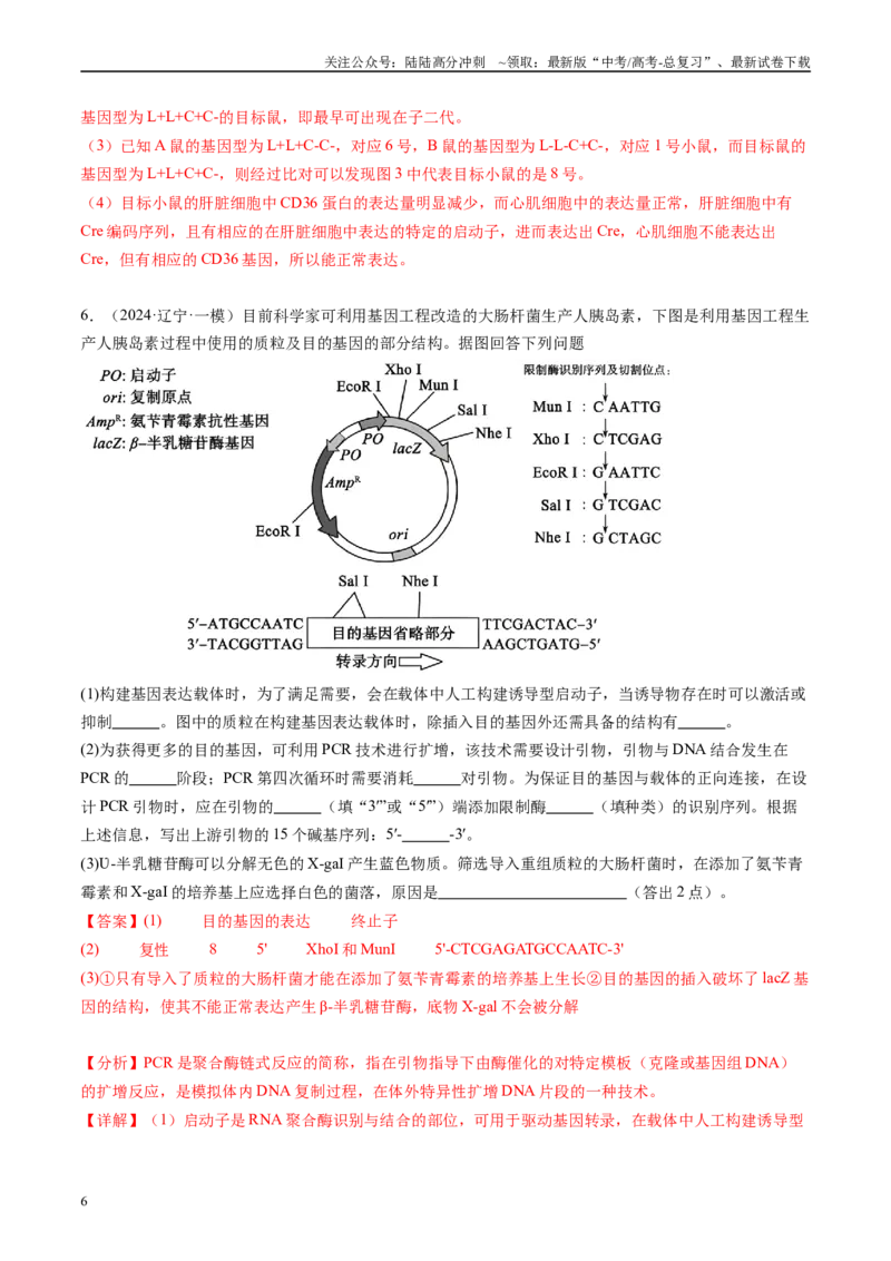 《专题13基因工程（解析版）_06-生物-高考总复习_专项复习_2025年_2024年高考一模试题分类汇编生物新高考通用》第6页预览