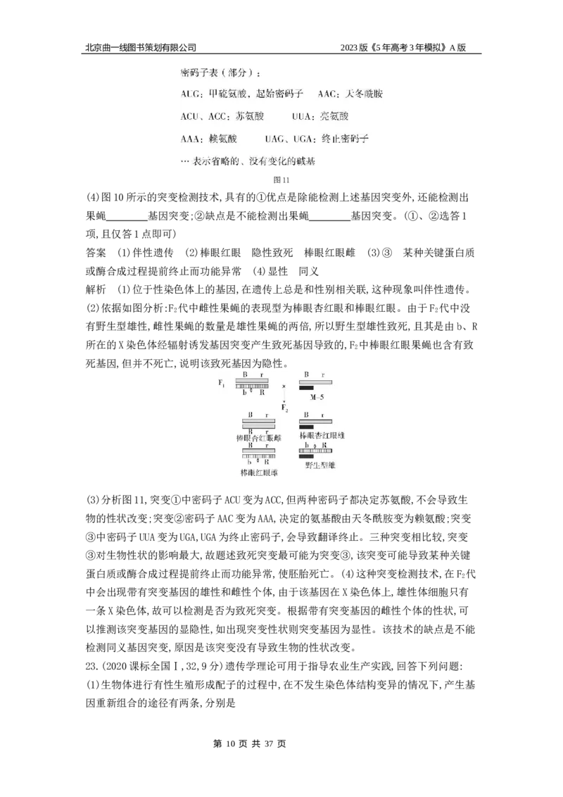 《1_4.专题十四生物的变异(1)_2023版教学资源包_2023版新高考版选考总复习生物5·3A版_14_专题十四生物的变异_4_10年高考真题分类题组》第10页预览