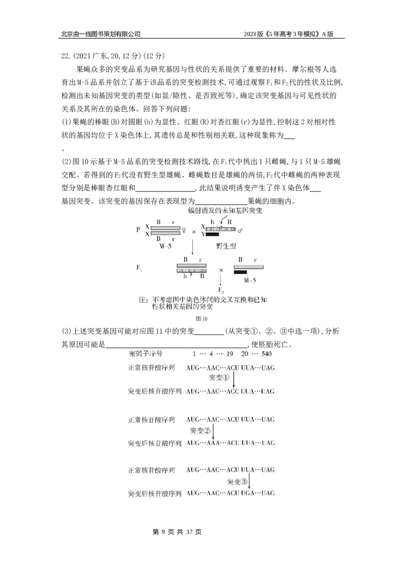 《1_4.专题十四生物的变异(1)_2023版教学资源包_2023版新高考版选考总复习生物5·3A版_14_专题十四生物的变异_4_10年高考真题分类题组》第9页预览