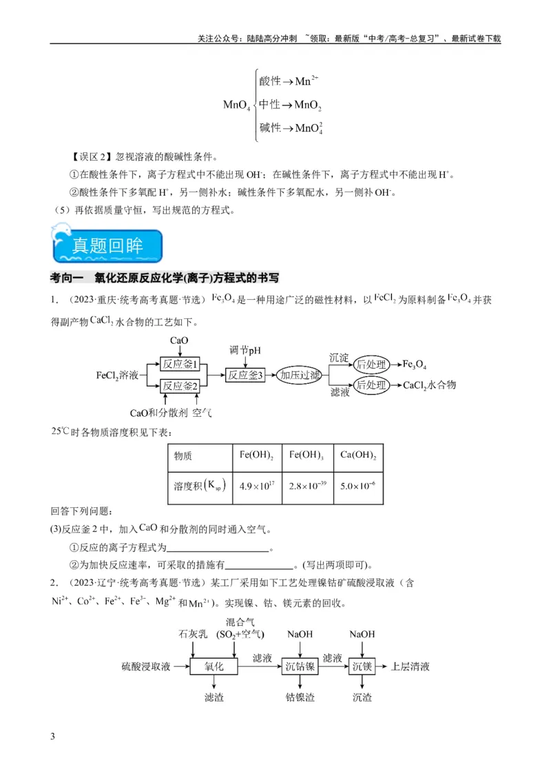 《热点01陌生化学(离子)方程式的书写-（学生版）_05-化学-高考总复习_专项复习_2024年_2024年高考化学热点·重点·难点专练（新高考专用）》第3页预览