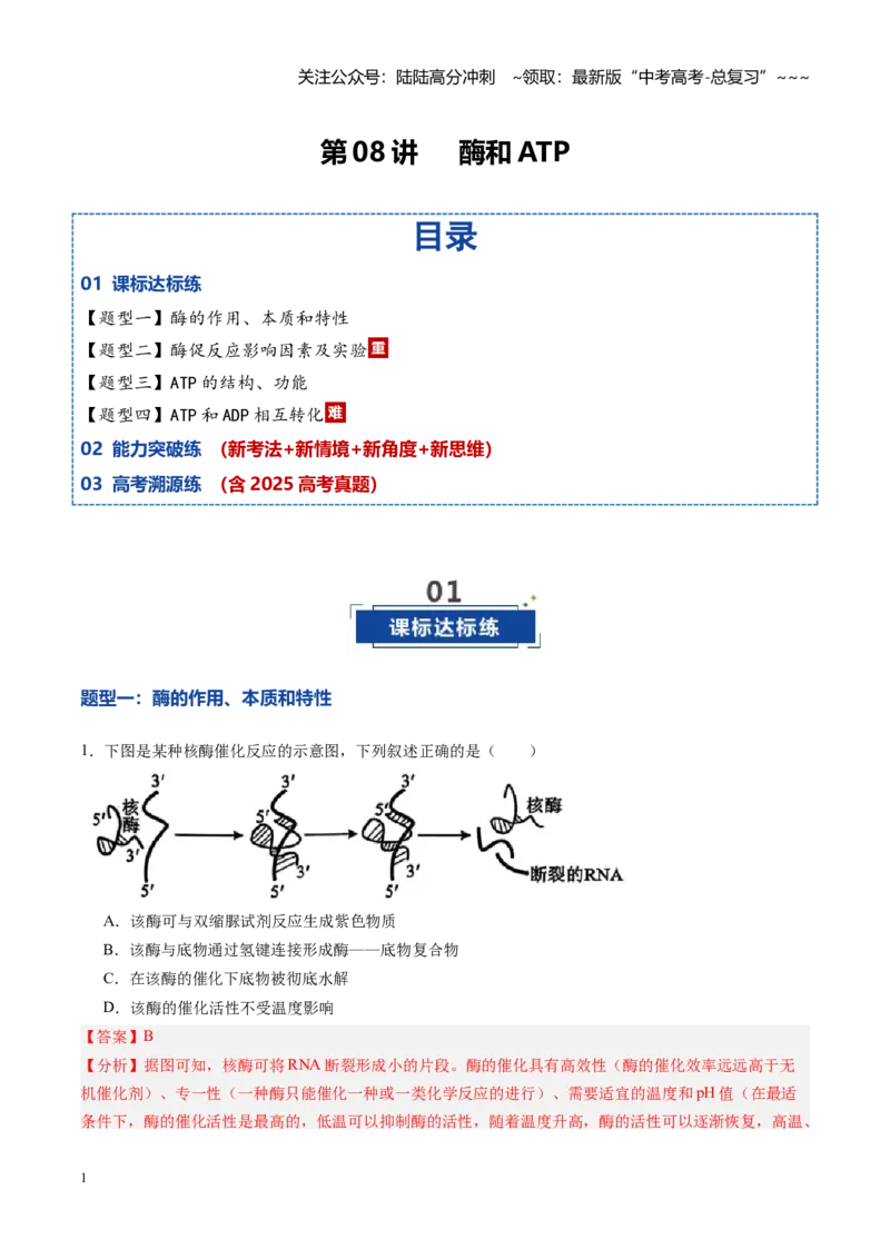 《第08讲酶和ATP（专项训练）（黑吉辽蒙专用）（教师版）_06-生物-高考总复习_一轮复习_2026年-生物高考一轮复习_2026年高考生物一轮课件+讲义+练习（黑吉辽蒙专用）-G330》第1页预览