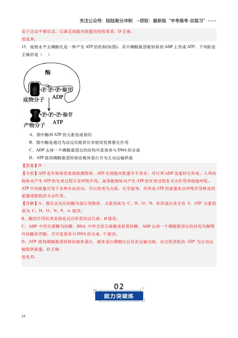 《第08讲酶和ATP（专项训练）（黑吉辽蒙专用）（教师版）_06-生物-高考总复习_一轮复习_2026年-生物高考一轮复习_2026年高考生物一轮课件+讲义+练习（黑吉辽蒙专用）-G330》第10页预览