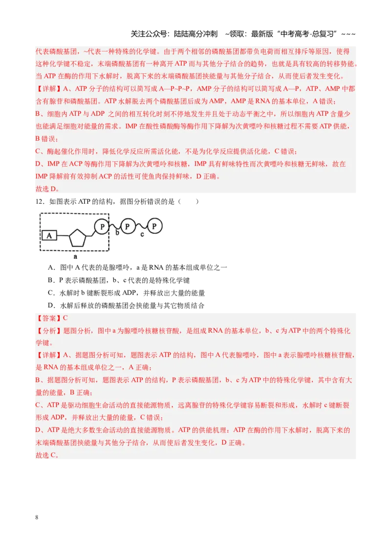 《第08讲酶和ATP（专项训练）（黑吉辽蒙专用）（教师版）_06-生物-高考总复习_一轮复习_2026年-生物高考一轮复习_2026年高考生物一轮课件+讲义+练习（黑吉辽蒙专用）-G330》第8页预览