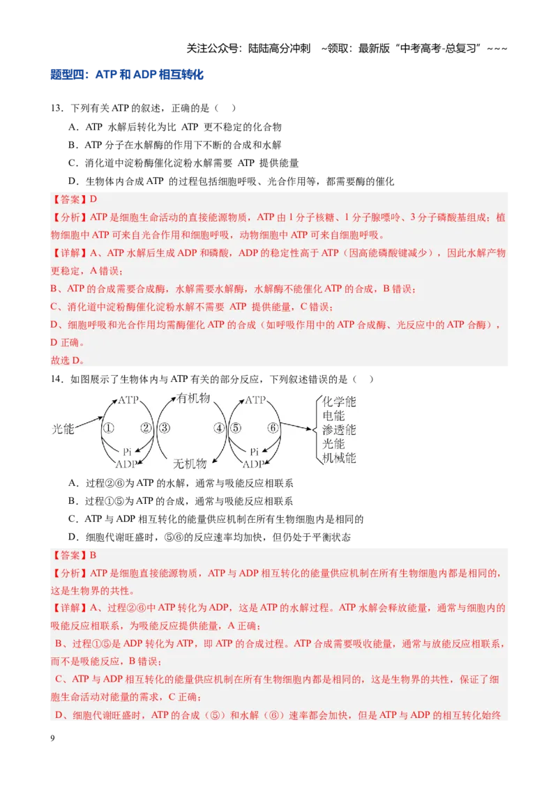 《第08讲酶和ATP（专项训练）（黑吉辽蒙专用）（教师版）_06-生物-高考总复习_一轮复习_2026年-生物高考一轮复习_2026年高考生物一轮课件+讲义+练习（黑吉辽蒙专用）-G330》第9页预览