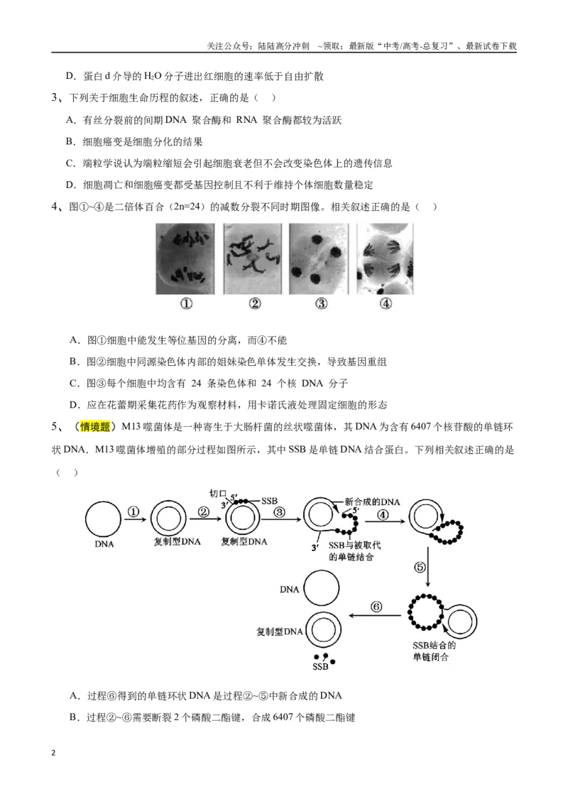 《生物（江苏卷02）（考试版）_06-生物-高考总复习_专项复习_2025年_2025年高考押题预测卷（多地区）生物》第2页预览