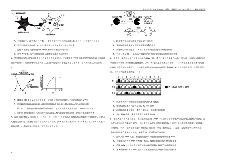 《生物（河北卷02）（考试版A3）_06-生物-高考总复习_专项复习_2025年_2025年高考押题预测卷（多地区）生物》第2页预览