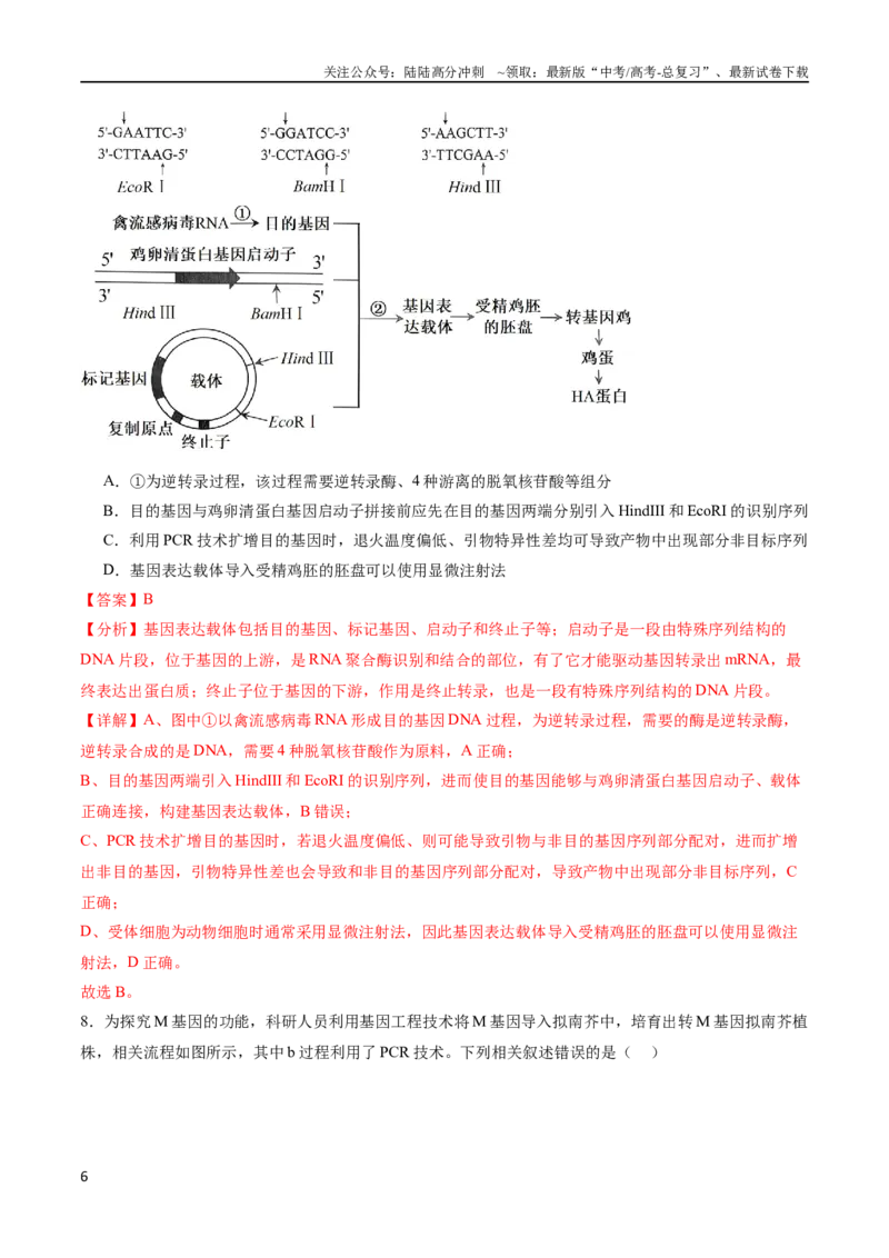 《专题15基因工程（选择题60道）（解析版）_06-生物-高考总复习_二轮复习_2024年_2024年高考生物二轮复习选择题大题压轴专项训练_资料》第6页预览