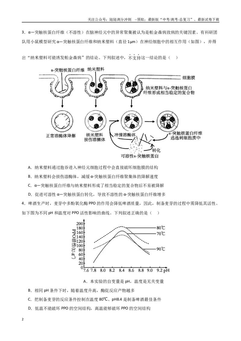 《生物（河北卷，13+5+5）（考试版）_06-生物-高考总复习_一轮复习_2025年_2025年高考生物第一次模拟卷24套》第2页预览