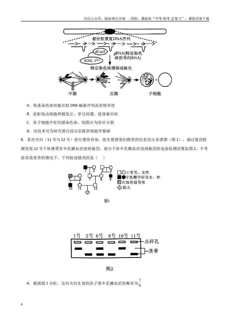 《生物（河北卷，13+5+5）（考试版）_06-生物-高考总复习_一轮复习_2025年_2025年高考生物第一次模拟卷24套》第4页预览