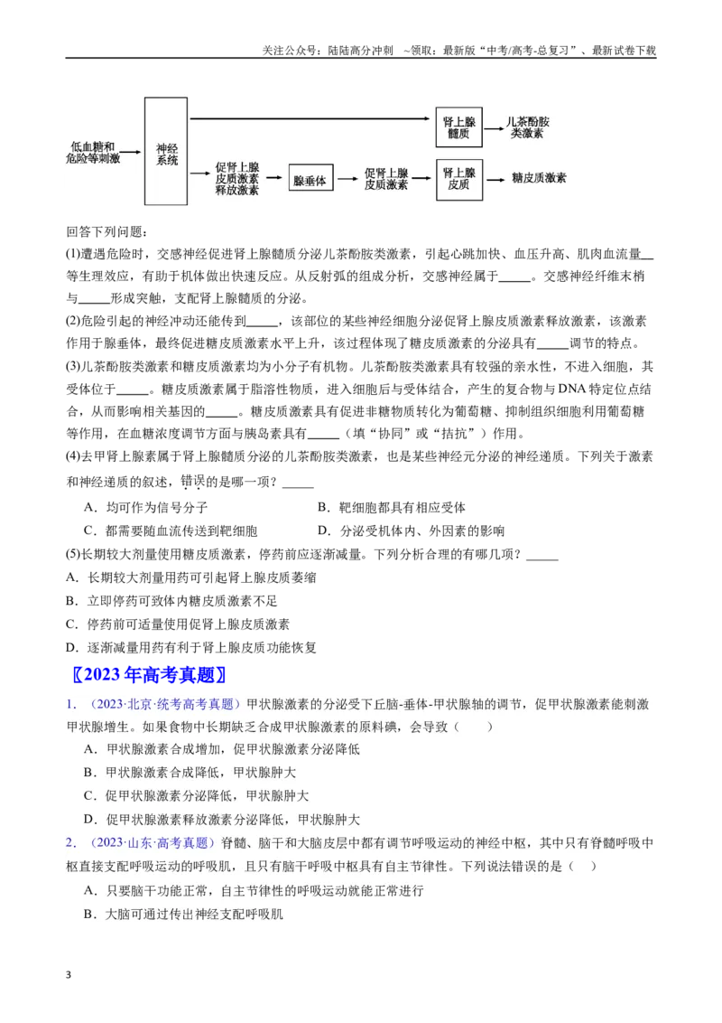 《专题15体液调节（全国通用）（原卷版）_06-生物-高考总复习_专项复习_2024年_2024年高考生物真题分类汇编（全国通用）》第3页预览