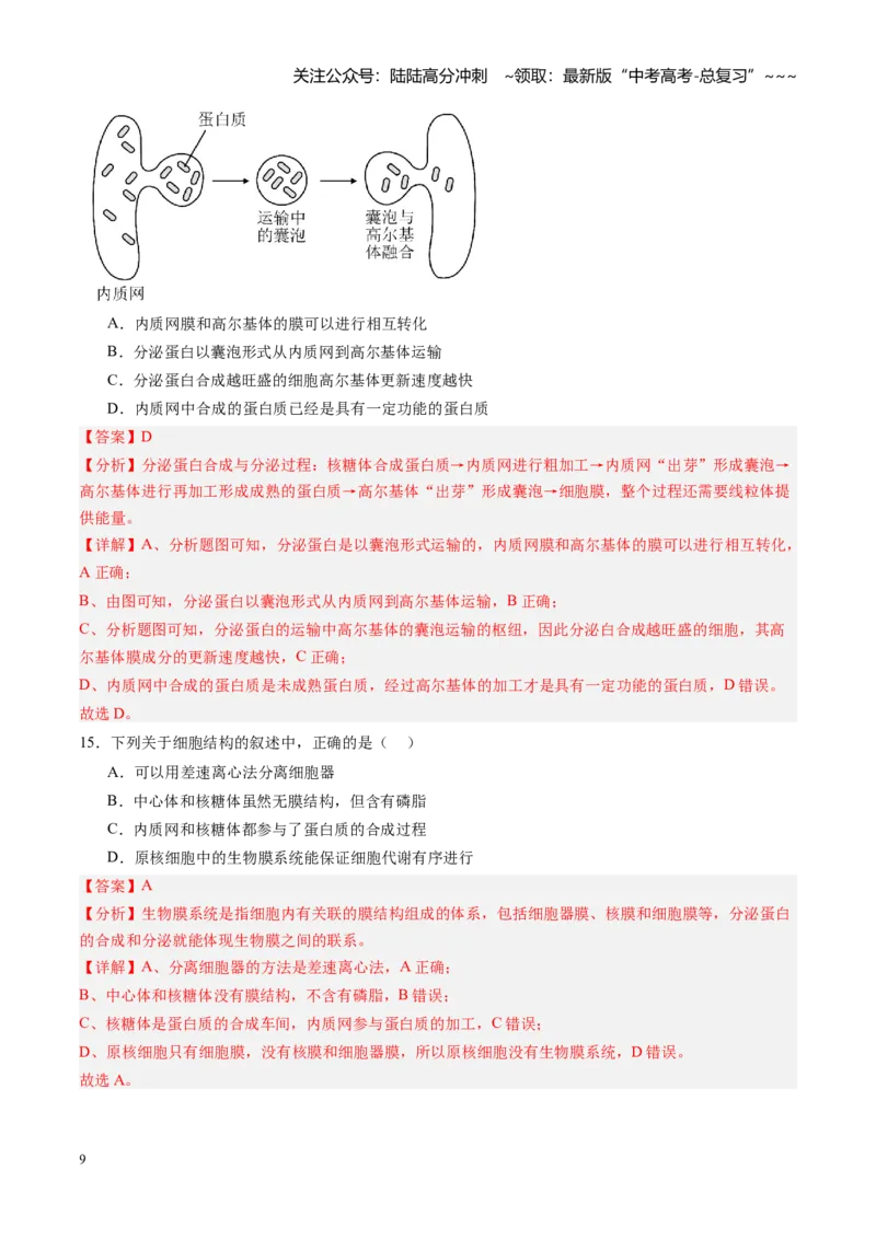 《第06讲细胞器和生物膜系统（专项训练）（黑吉辽蒙专用）（教师版）_06-生物-高考总复习_一轮复习_2026年-生物高考一轮复习_2026年高考生物一轮课件+讲义+练习（黑吉辽蒙专用）-G330》第9页预览