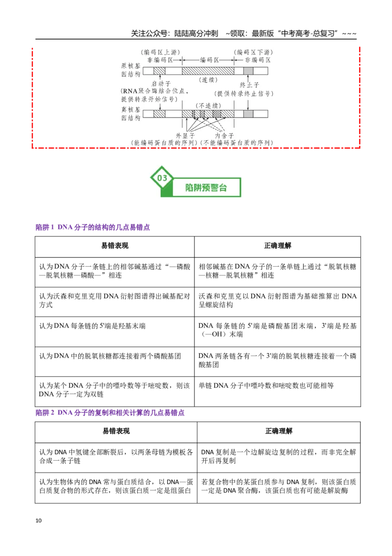 《第20讲DNA分子的结构、复制与基因的本质（知识清单）（全国通用）（教师版）_06-生物-高考总复习_一轮复习_2026年-生物高考一轮复习_2026版_第六单元遗传的分子基础》第10页预览