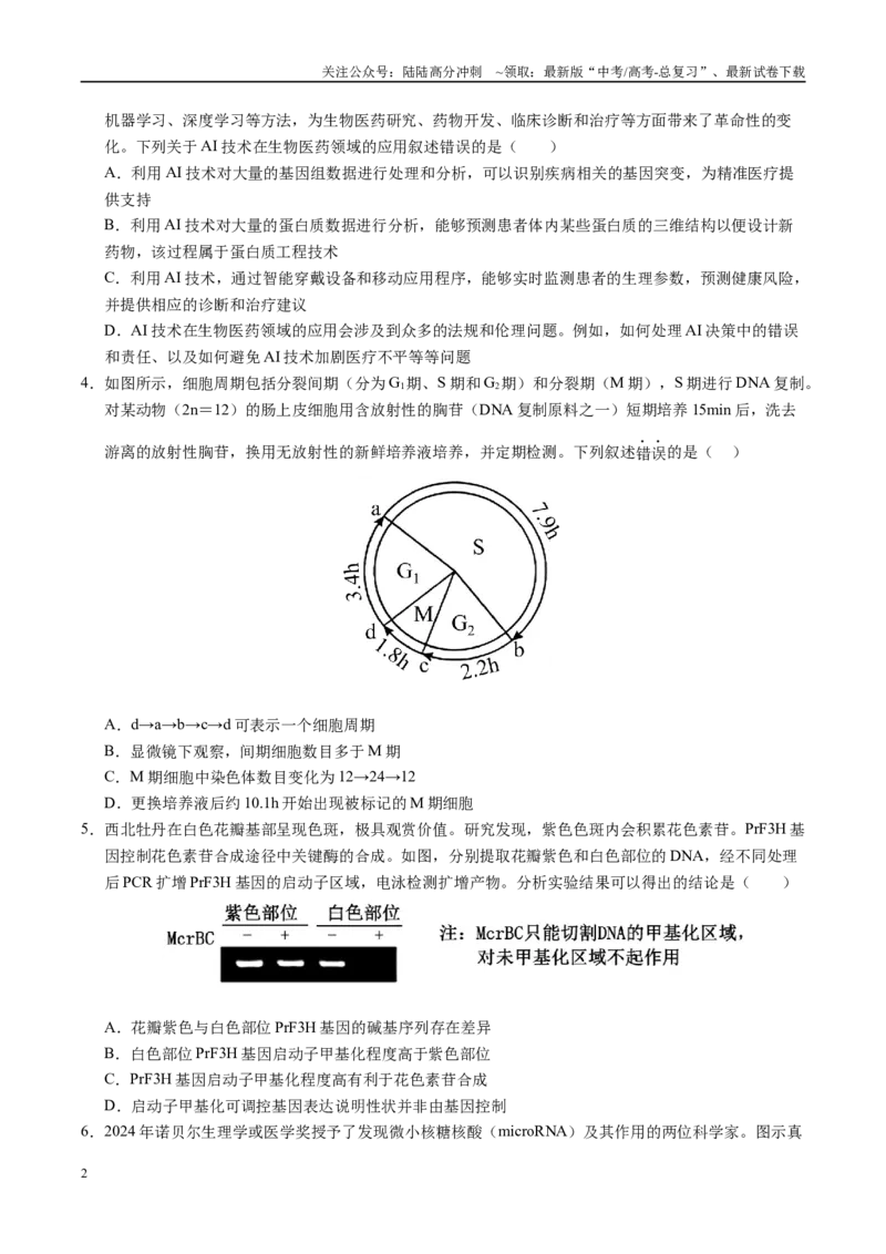 《生物（湖南卷）（考试版）_06-生物-高考总复习_专项复习_2025年_2025年高考第一二三次模拟卷（多地区）生物_2025年高考生物第三次模拟考试21套_生物（湖南卷）》第2页预览