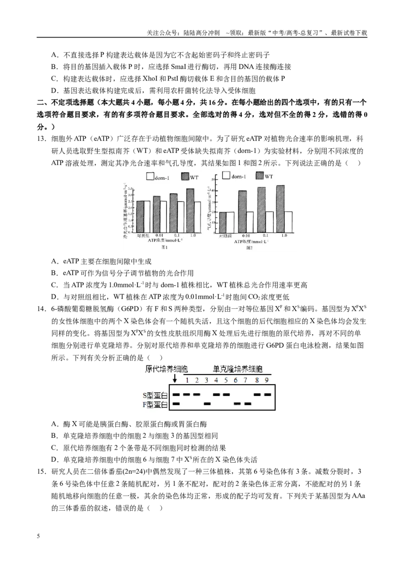 《生物（湖南卷）（考试版）_06-生物-高考总复习_专项复习_2025年_2025年高考第一二三次模拟卷（多地区）生物_2025年高考生物第三次模拟考试21套_生物（湖南卷）》第5页预览