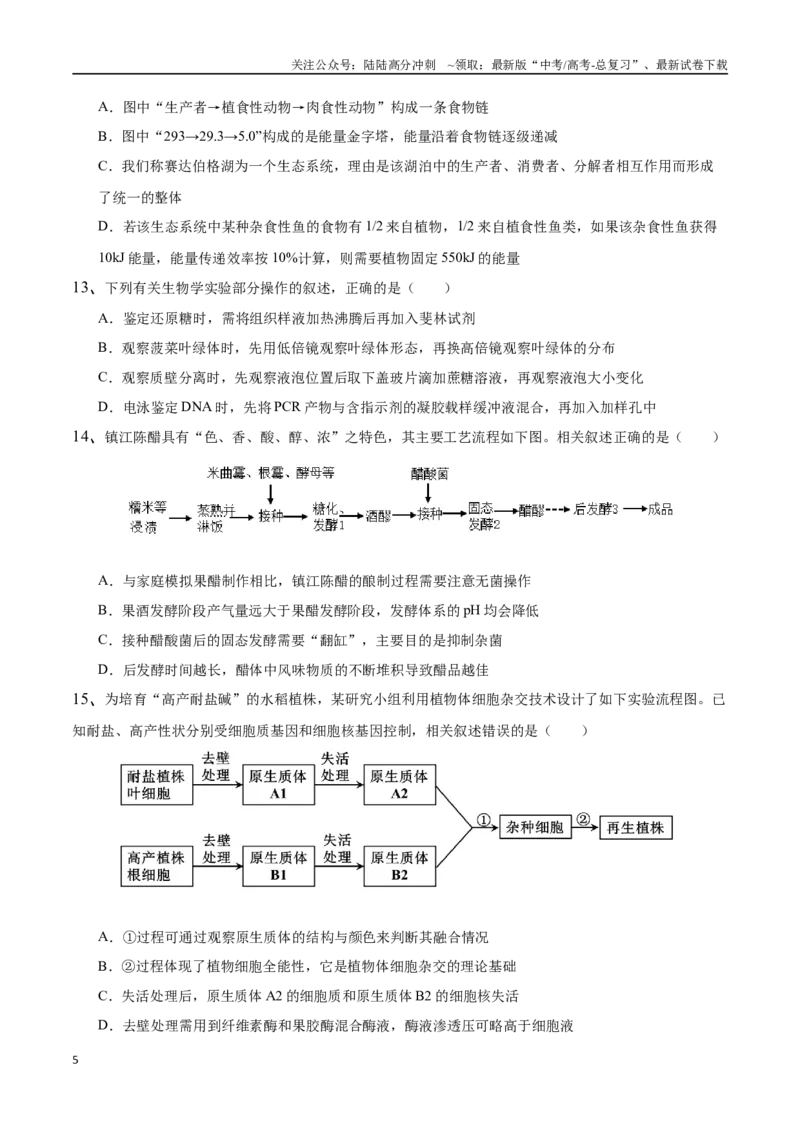 《生物（江苏卷01）（考试版）_06-生物-高考总复习_专项复习_2025年_2025年高考押题预测卷（多地区）生物》第5页预览