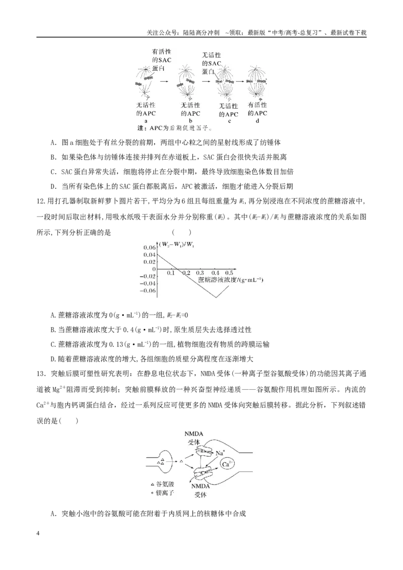 《模拟卷01（福建专用）（考试版）_06-生物-高考总复习_专项复习_2025年_2025年高考生物模拟卷（福建专用）8套》第4页预览