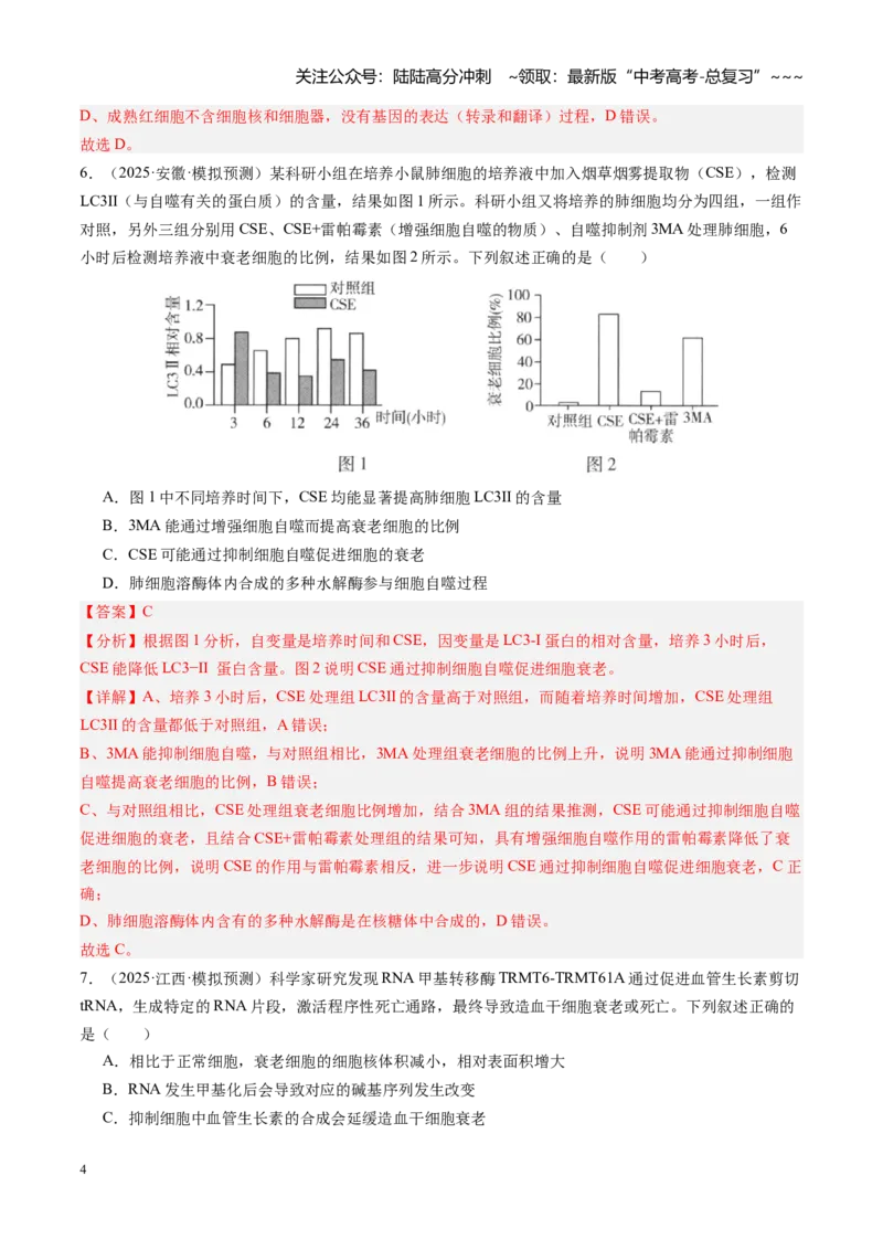 《第15讲细胞的分化、衰老和死亡（专项训练）（安徽专用）（教师版）_06-生物-高考总复习_一轮复习_2026年-生物高考一轮复习_2026年高考生物一轮课件+讲义+练习（安徽专用）-G326》第4页预览