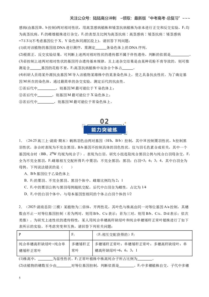 《第18讲遗传综合实验分析（专项训练）（学生版）_06-生物-高考总复习_一轮复习_2026年-生物高考一轮复习_2026年高考生物一轮课件+讲义+练习（湖南专用）-G331》第5页预览