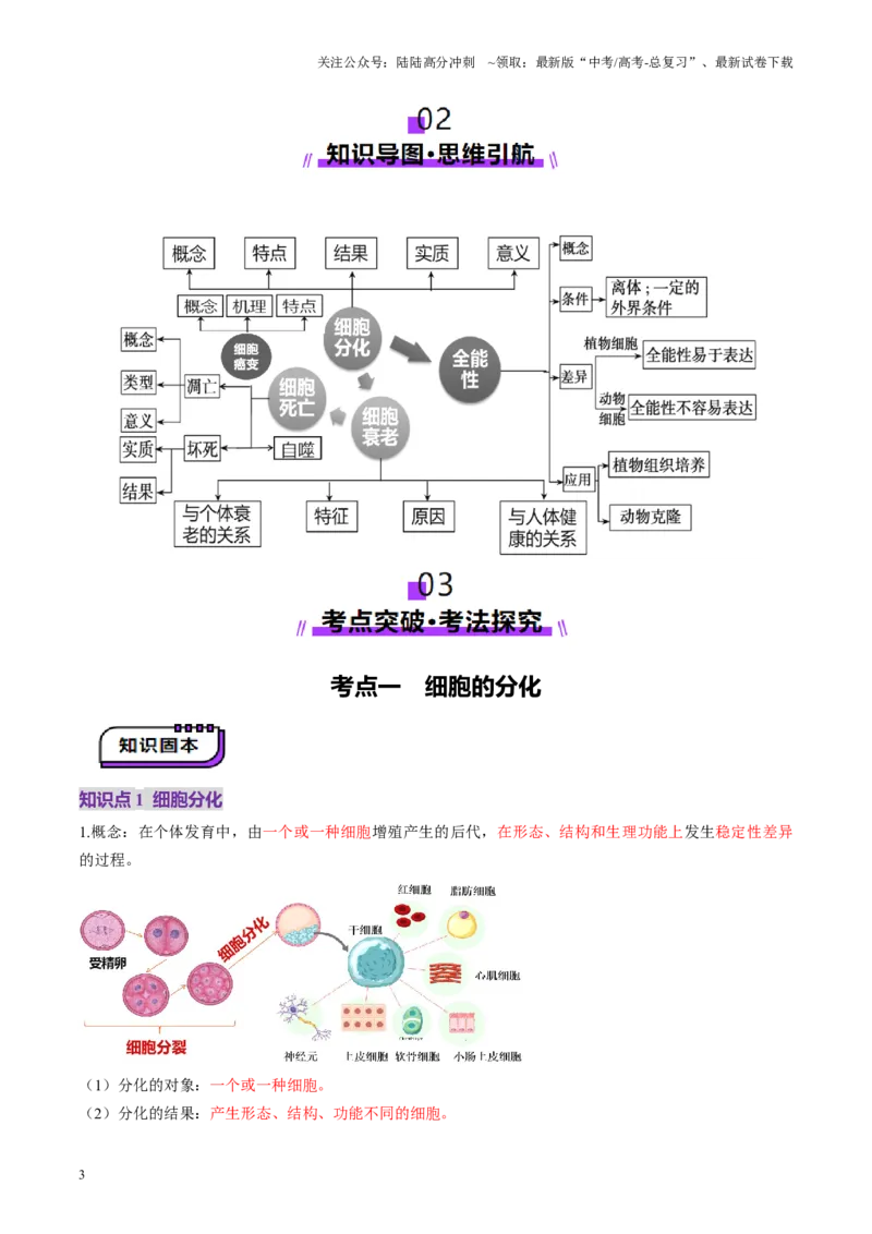 《第14讲细胞的分化、衰老、死亡和癌变（讲义）（教师版）_06-生物-高考总复习_一轮复习_2025年_2025年新高考生物一轮复习讲义PPT知识点习题训_资料_第四单元细胞的生命历程》第3页预览