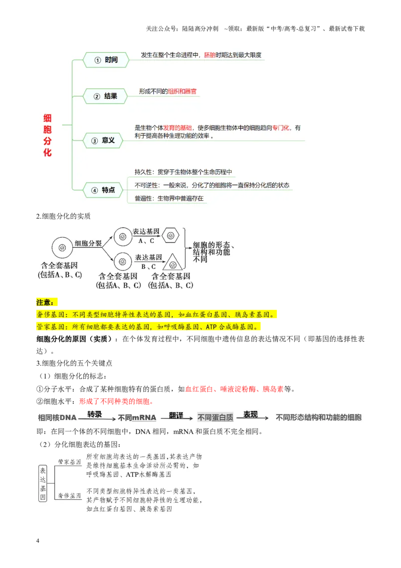 《第14讲细胞的分化、衰老、死亡和癌变（讲义）（教师版）_06-生物-高考总复习_一轮复习_2025年_2025年新高考生物一轮复习讲义PPT知识点习题训_资料_第四单元细胞的生命历程》第4页预览