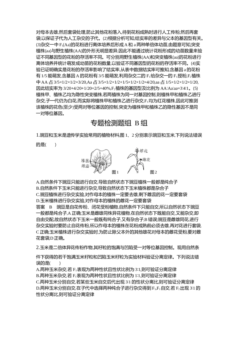 《1_11-专题十一基因的分离定律_2024版教学资源包_2024版.新高考版生物.5·3A版_11_专题十一基因的分离定律_6_专题检测》第4页预览