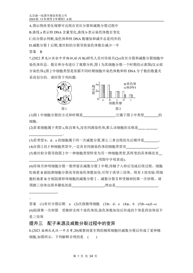 《1_09-专题九　遗传的细胞基础（分层集训word）_2024版教学资源包_2024版.新高考版生物.5·3A版_9_专题九遗传的细胞基础_3_习题WORD》第7页预览