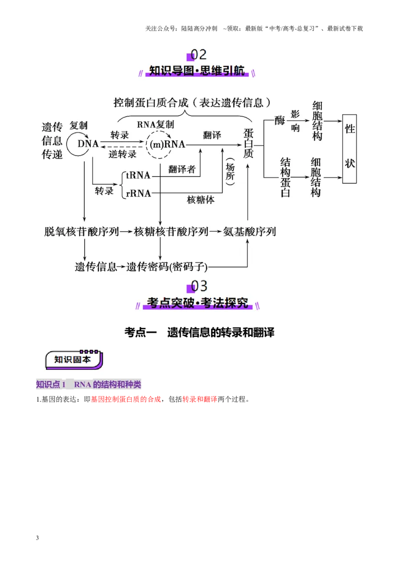 《第21讲基因的表达、基因与性状的关系（讲义）（教师版）_06-生物-高考总复习_一轮复习_2025年_2025年高考生物一轮复习讲义+练习+课件（新教材新高考）_第六单元遗传的分子基础》第3页预览