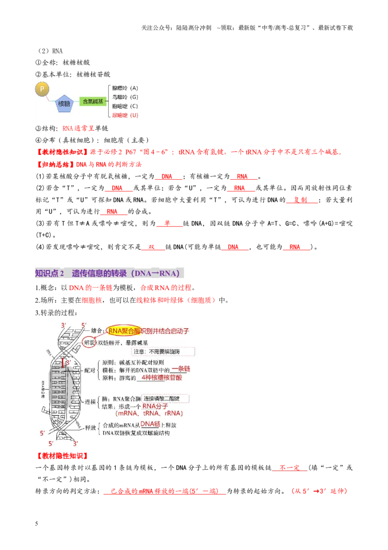 《第21讲基因的表达、基因与性状的关系（讲义）（教师版）_06-生物-高考总复习_一轮复习_2025年_2025年高考生物一轮复习讲义+练习+课件（新教材新高考）_第六单元遗传的分子基础》第5页预览
