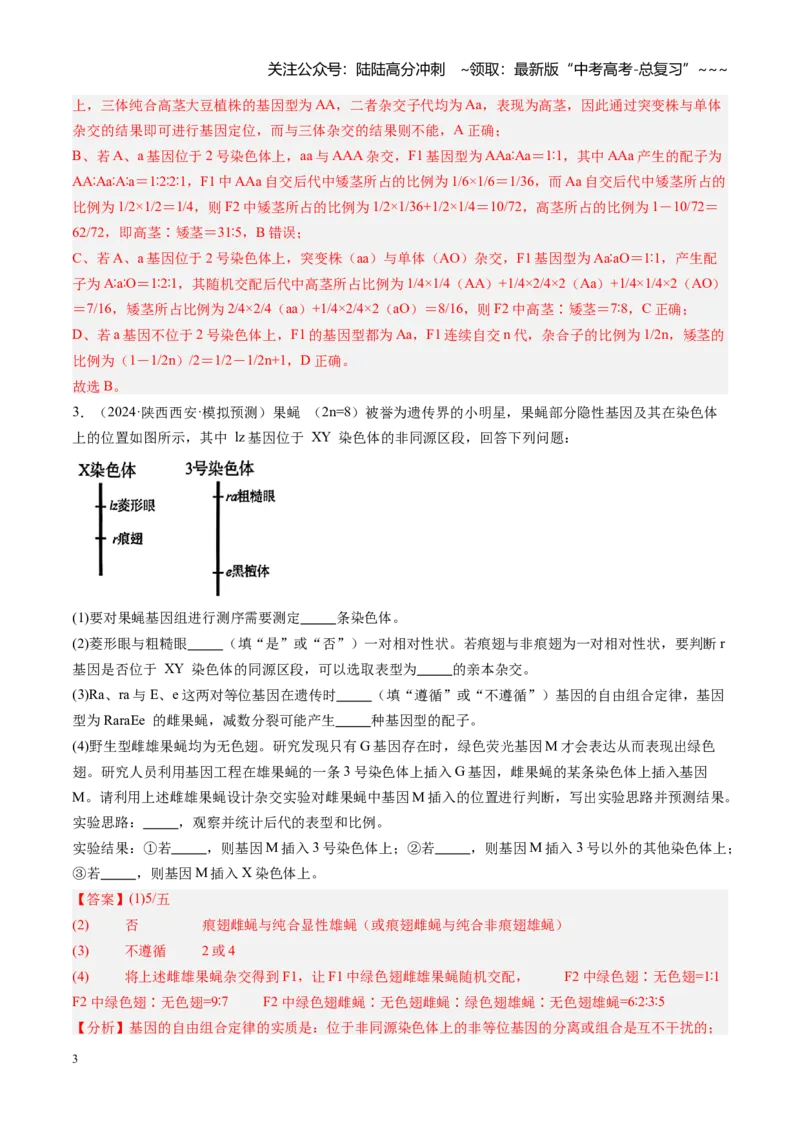 《第19讲遗传综合实验分析（安徽专用）（教师版）_06-生物-高考总复习_一轮复习_2026年-生物高考一轮复习_2026年高考生物一轮课件+讲义+练习（安徽专用）-G326》第3页预览