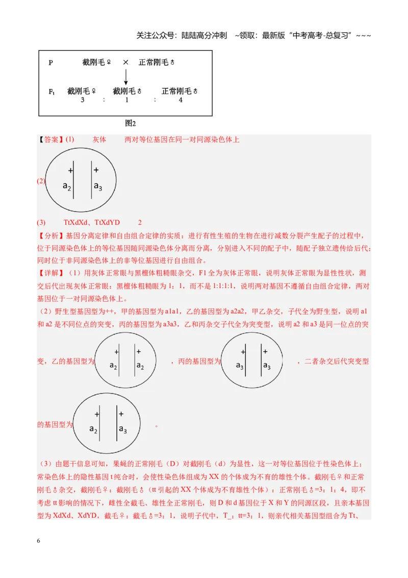 《第19讲遗传综合实验分析（安徽专用）（教师版）_06-生物-高考总复习_一轮复习_2026年-生物高考一轮复习_2026年高考生物一轮课件+讲义+练习（安徽专用）-G326》第6页预览