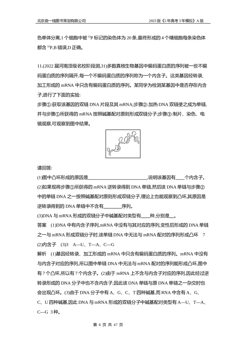 《1_5专题十　遗传的分子基础_2023版教学资源包_2023版新高考版选考总复习生物5·3A版_10_专题十遗传的分子基础_6_专题检测》第6页预览