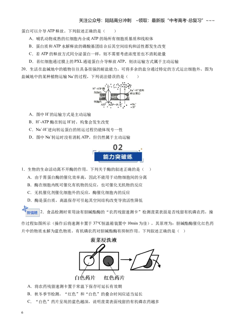 《第08讲酶和ATP（专项训练）（四川专用）（学生版）_06-生物-高考总复习_一轮复习_2026年-生物高考一轮复习_2026年高考生物一轮课件+讲义+练习（四川专用）-G335》第6页预览