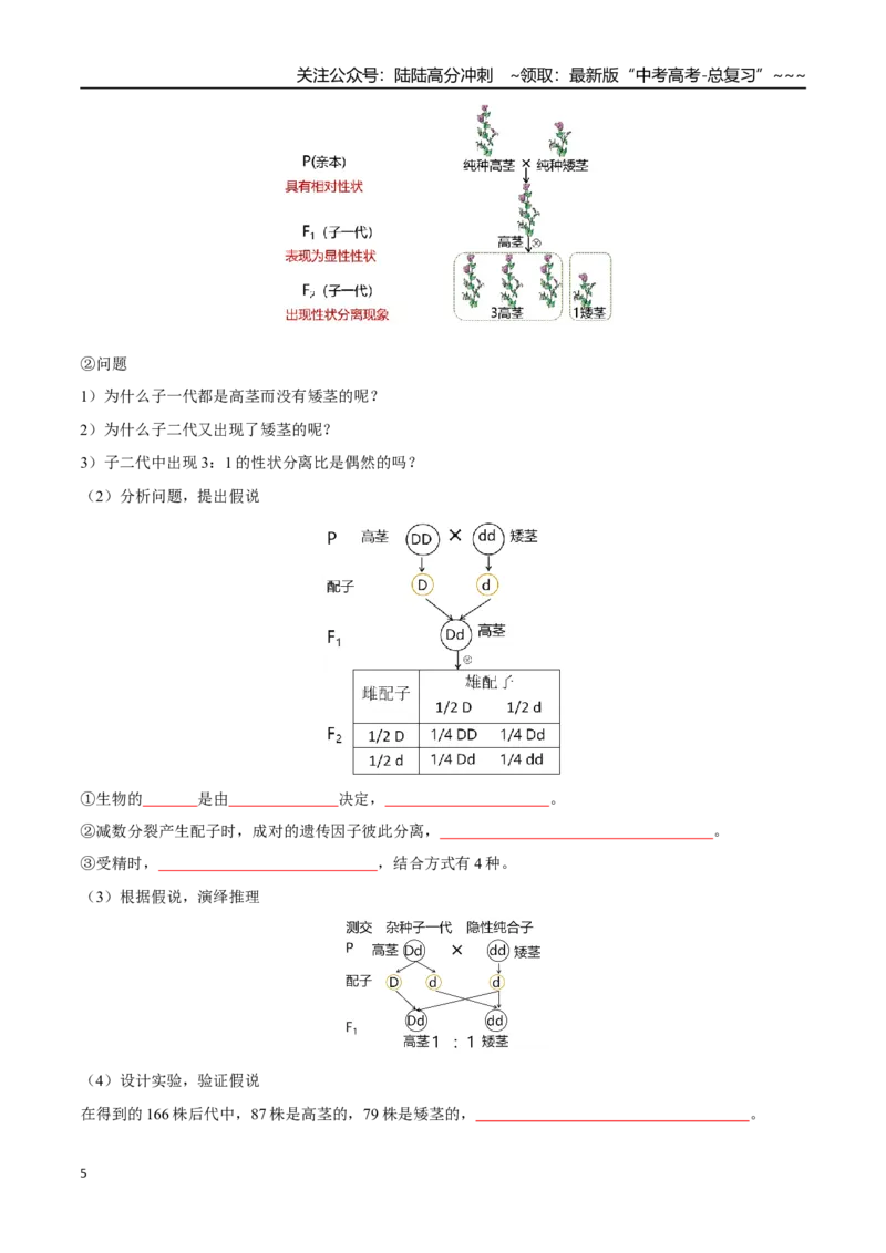 《第15讲分离定律（知识清单）（全国通用）（学生版）_06-生物-高考总复习_一轮复习_2026年-生物高考一轮复习_2026年高考生物一轮复习讲义+练习+课件（新教材新高考）-G55_2026版》第5页预览