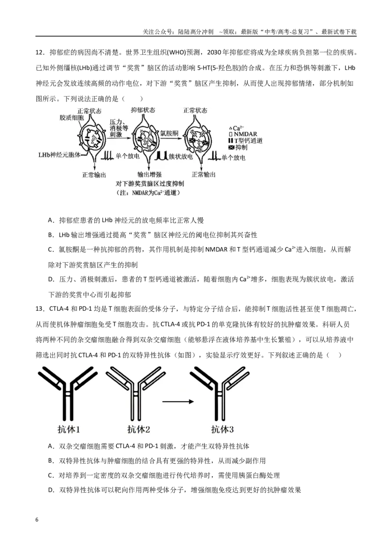 《生物（黑吉辽蒙卷02）（考试版）(2)_06-生物-高考总复习_专项复习_2025年_2025年高考押题预测卷（多地区）生物》第6页预览